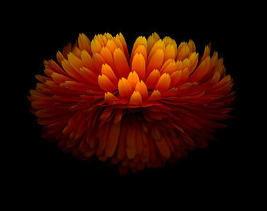 怎樣做才能拍攝出好看的全景圖片 怎樣做才能拍攝出好看的全景圖片