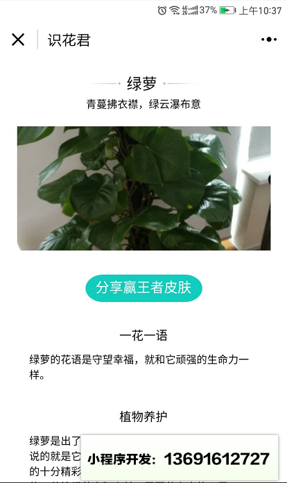 識花君小程序截圖